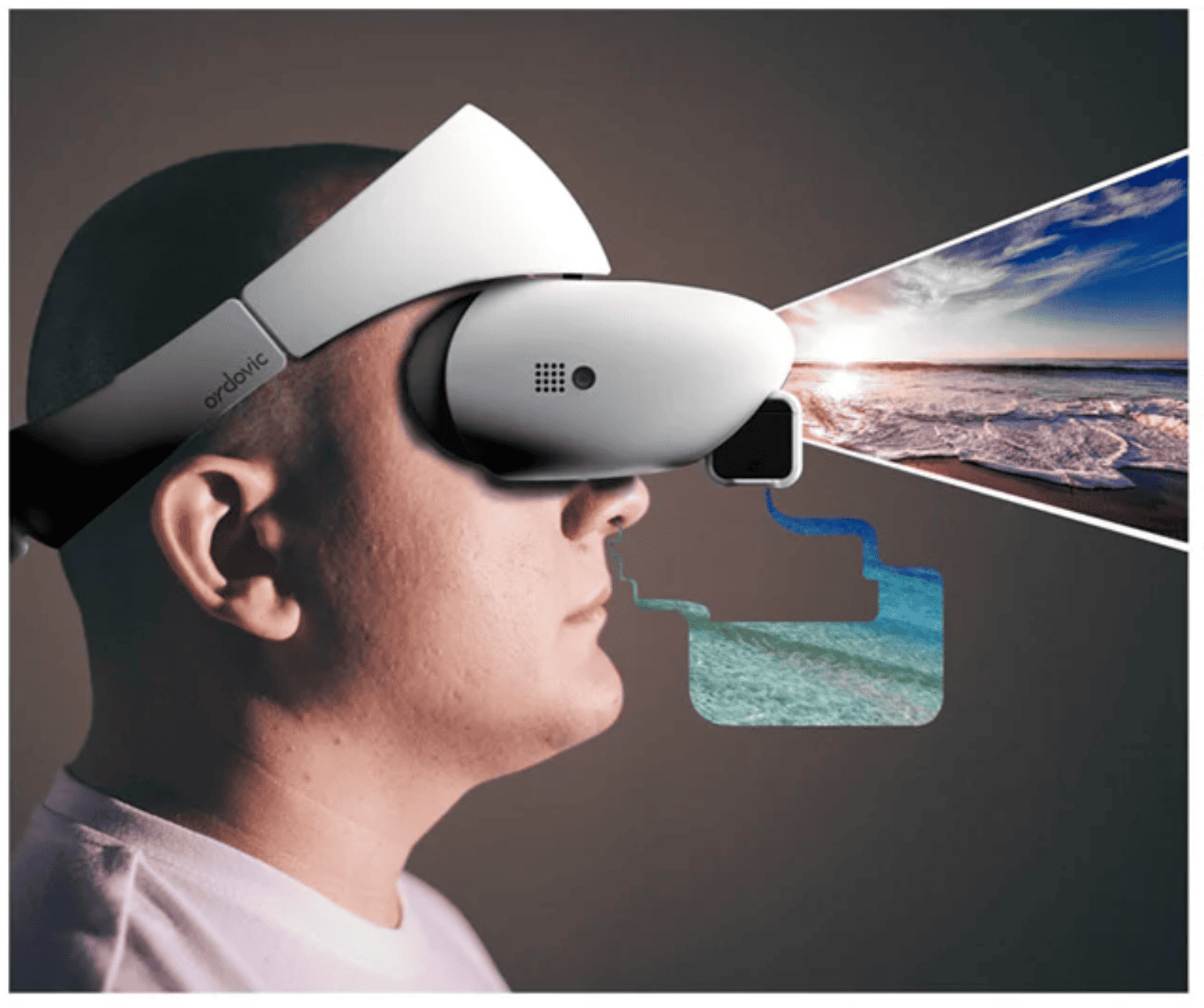 
Sensory Reality Swap