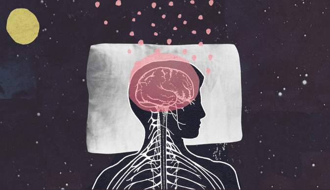 sleeping brain