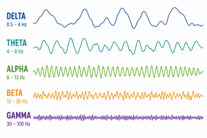 Alpha, Beta, Theta, Delta & Gamma Brain Waves Explained Simply
