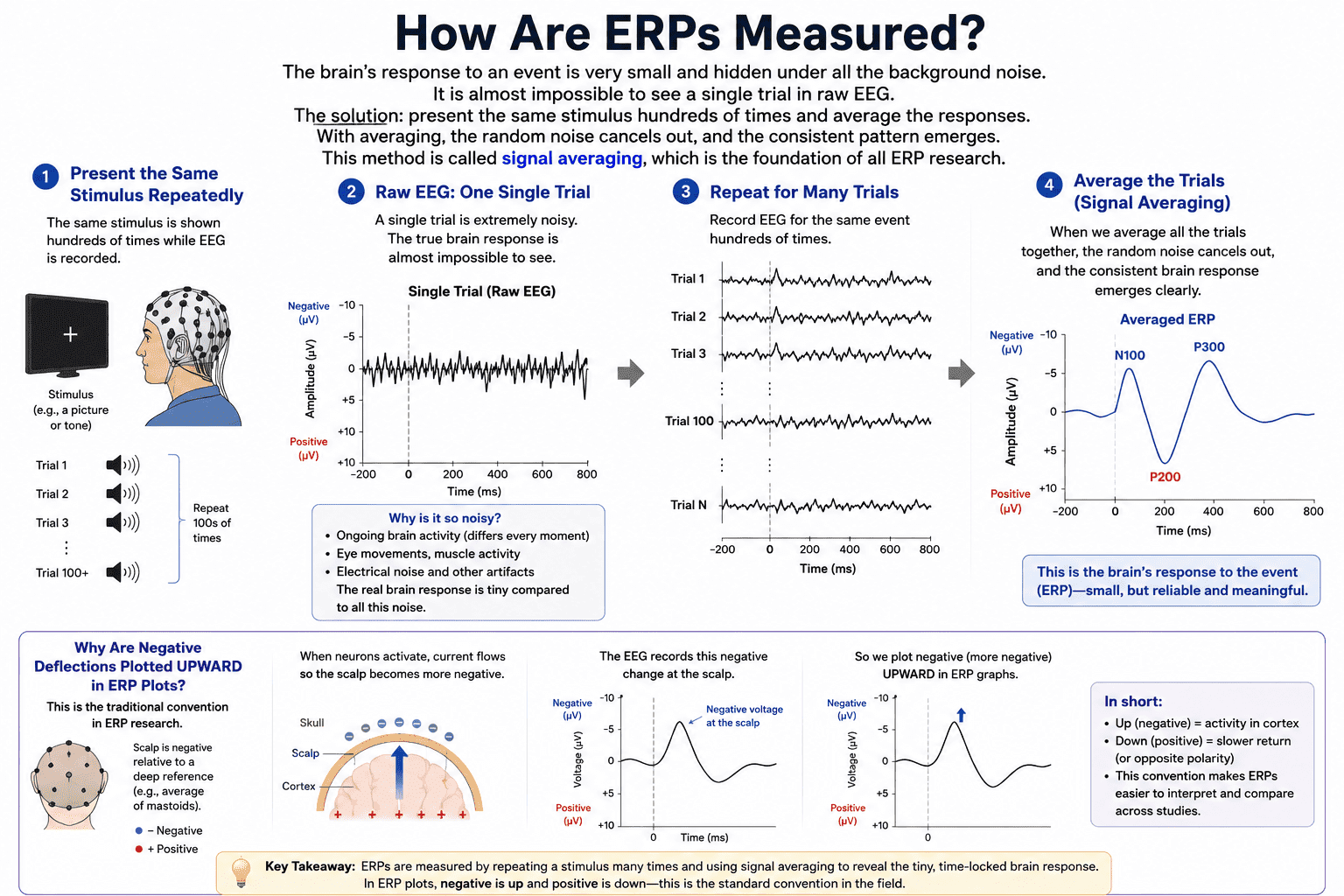 ERP Measurement